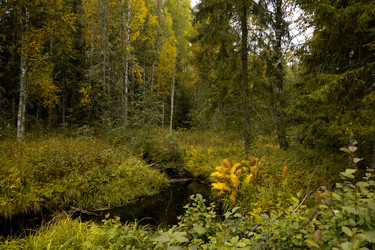 Similar image 22230730