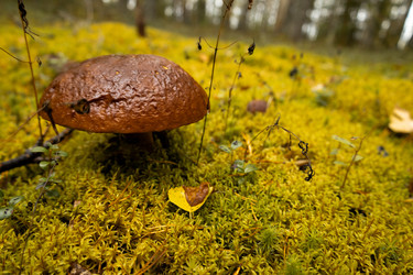 Similar image 22230731