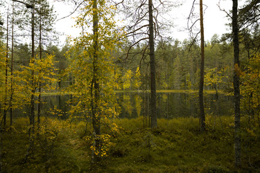 Similar image 22230732