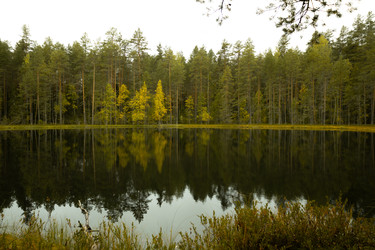 Similar image 22230733