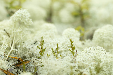 Similar image 22230735