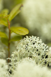 Similar image 22230737