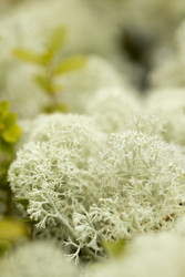 Similar image 22230738