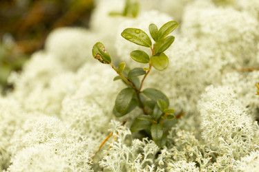 Similar image 22230739