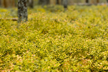 Similar image 22230740