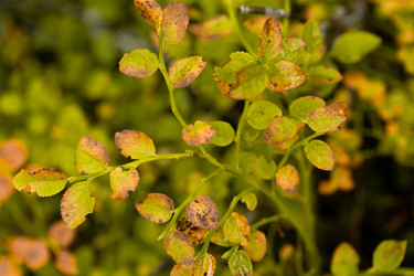 Similar image 22230741