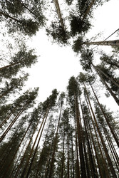 Similar image 22230742