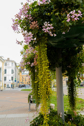 Similar image 22230747