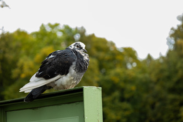 Similar image 22230748