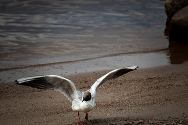 Similar image 22230750