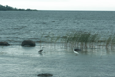 Similar image 22230752