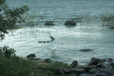 Similar image 22230753