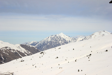 Similar image 22230616