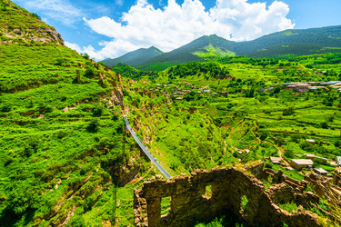 Similar image 22231628