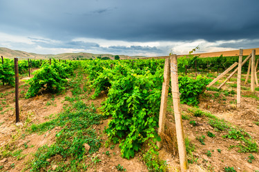 Similar image 22231421