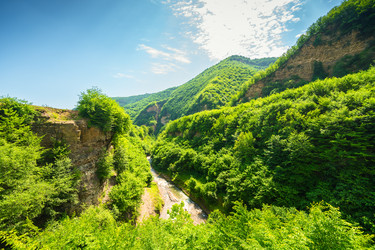 Similar image 22231422