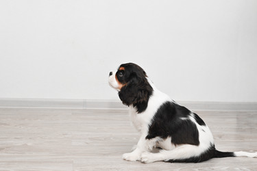 Similar image 22230626