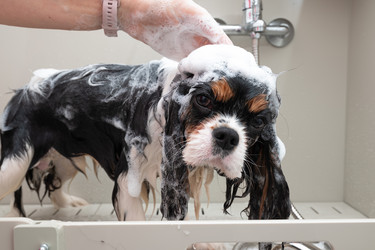 Similar image 22230628