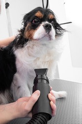 Similar image 22230629