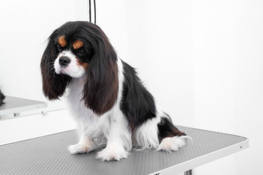 Similar image 22230630