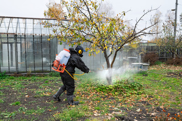 Similar image 22230634