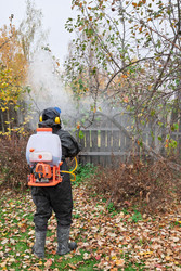 Similar image 22257642