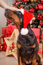 Similar image 22230636