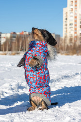 Similar image 22230639