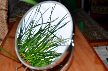 Similar image 22230759