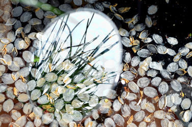 Similar image 22230760