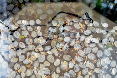 Similar image 22230763