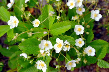 Similar image 22230765