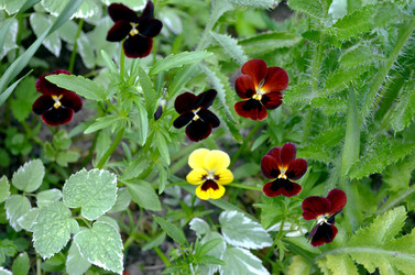 Similar image 22230766