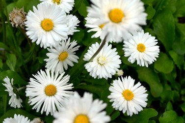 Similar image 22230767