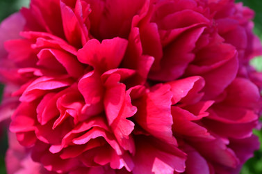 Similar image 22230768