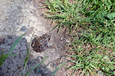 Similar image 22230769