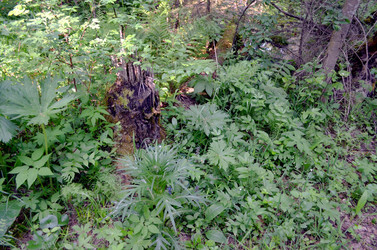 Similar image 22230770