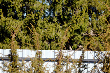 Similar image 22230771