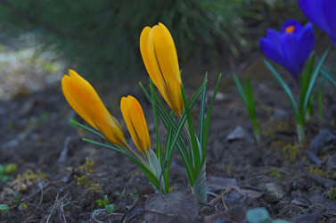 Similar image 22230772