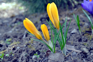 Similar image 22230773