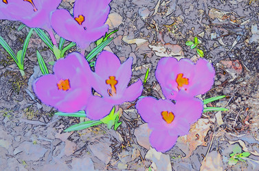 Similar image 22230774