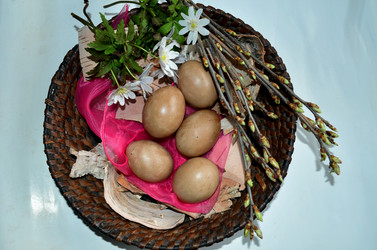 Similar image 22230775