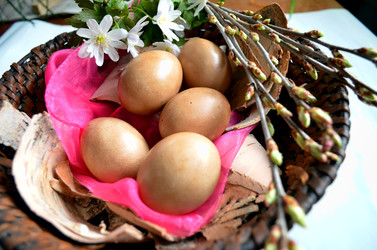 Similar image 22230776