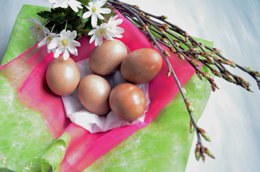 Similar image 22230777