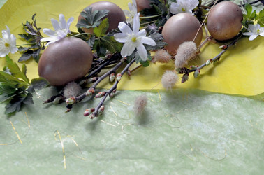 Similar image 22230782