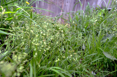 Similar image 22230783