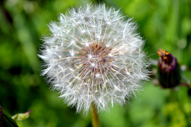 Similar image 22230784