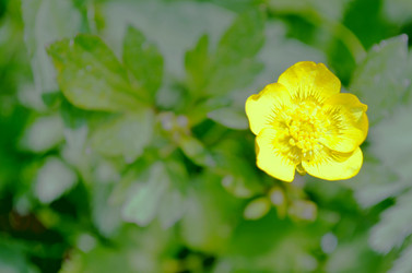 Similar image 22230785