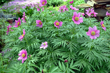 Similar image 22230786