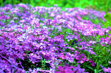 Similar image 22230787